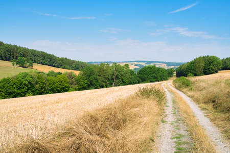gravel road through fields in hilly landscape on sunny summer dayの写真素材