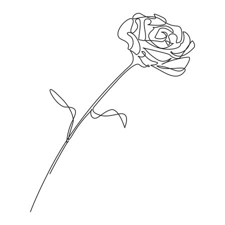 continuous single line drawing of a flower, line art vector illustrationのイラスト素材