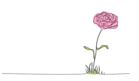 colored continuous single line drawing of a flower, line art vector illustrationのイラスト素材