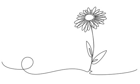 continuous single line drawing of daisy flower, line art vector illustrationのイラスト素材