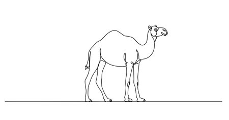 continuous single line drawing of a camel, line art vector illustrationのイラスト素材