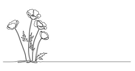 continuous single line drawing of poppy flowers, wildflower line art vector illustrationのイラスト素材