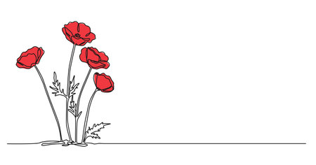 colored continuous single line drawing of poppy flowers, wildflower line art vector illustrationのイラスト素材