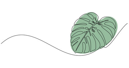 continuous single line drawing of a monstera leaf, line art vector illustrationのイラスト素材