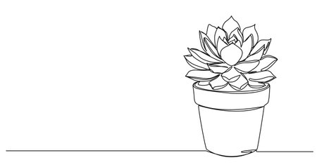 continuous single line drawing of potted succulent plant, line art vector illustrationのイラスト素材