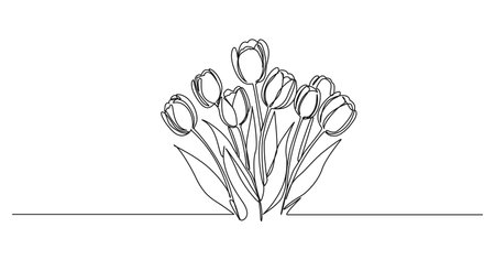 continuous single line drawing of tulips, line art vector illustrationのイラスト素材