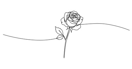 continuous single line drawing of a rose, line art vector illustrationのイラスト素材