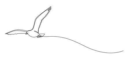 continuous single line drawing of seagull flying, line art vector illustrationのイラスト素材