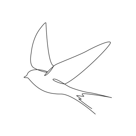 continuous single line drawing of swallow, flying bird, line art vector illustrationのイラスト素材