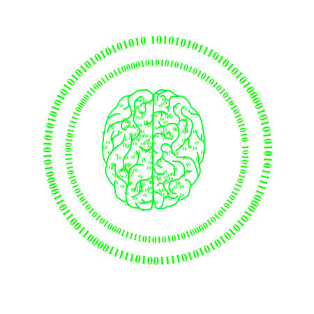 Human brainの写真素材