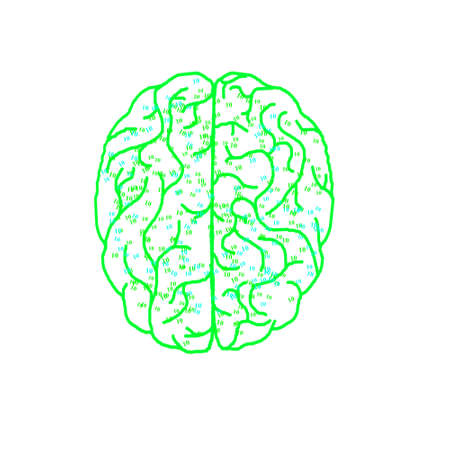 Human brainの写真素材