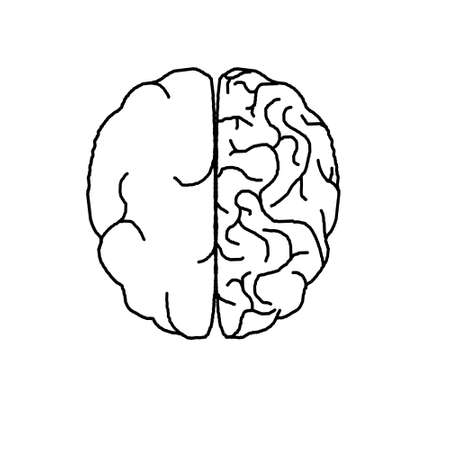 Different parts of human brainの写真素材