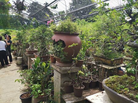 bee gardenの写真素材