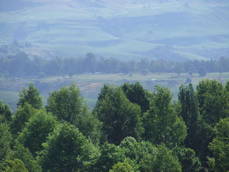View of the lush treetops over a dense forest in South Africaの写真素材