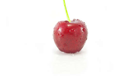 Single Cherryの写真素材