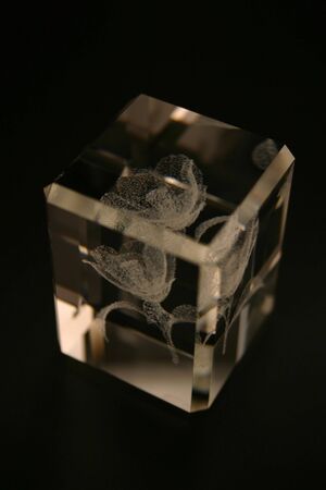 Crystal cube with a rose in the centerの写真素材
