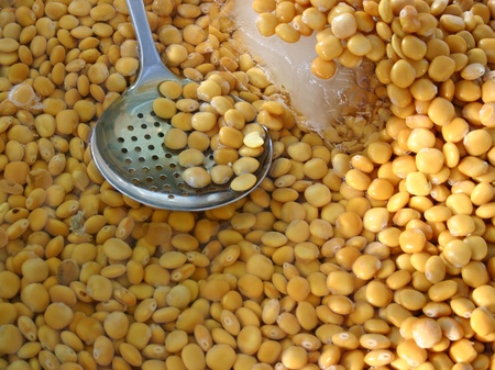 A large bowl of Lupin Beans at a streetfairの写真素材