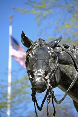 The bronze statue of a horse in the Patriot's Farewell monument in Morristown, NJのeditorial素材