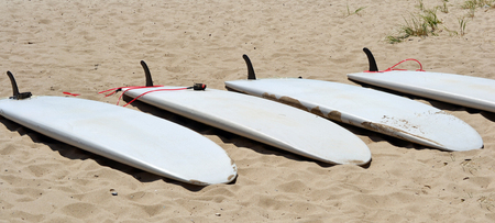 Several white surf boards lying on a beachの写真素材
