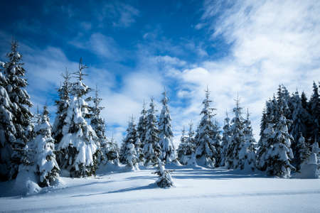 Winterscape in Transylvania (3)のeditorial素材