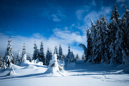 Winterscape in Transylvania (2)のeditorial素材