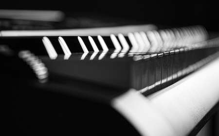 piano or organ keyboard showing white and black notes