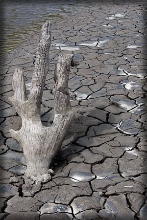 Dry Lake Bedの写真素材