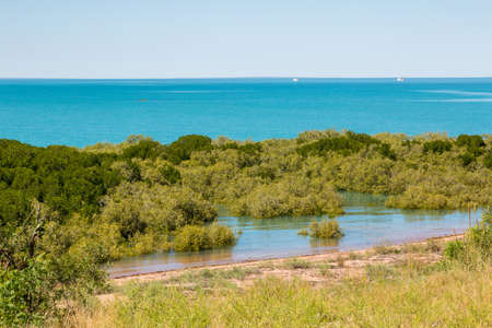 Tidal water mangroves at nearly high tide Broomeの写真素材