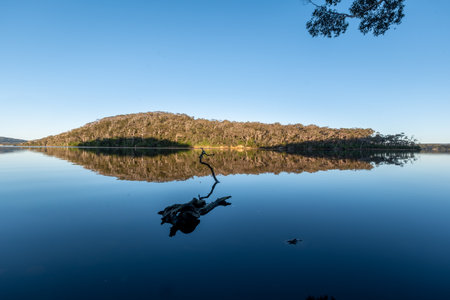 Still morning at the channel between Walpole and Nornalup Inlets, Walpole, Western Australiaの写真素材