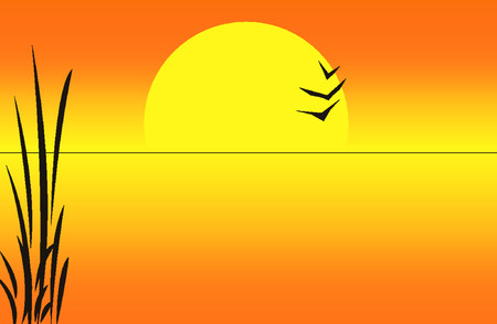 Sunset birdsのイラスト素材