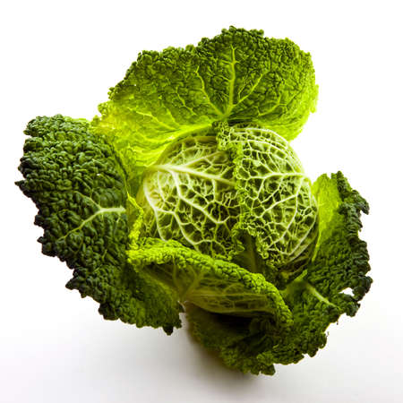 Cabbageの写真素材