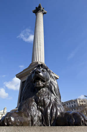 Nelsons Column and Lion Statueの写真素材