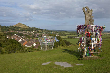 The holy Glastonbury Thorn and the glastonbury Tor in the background, Somerset の写真素材