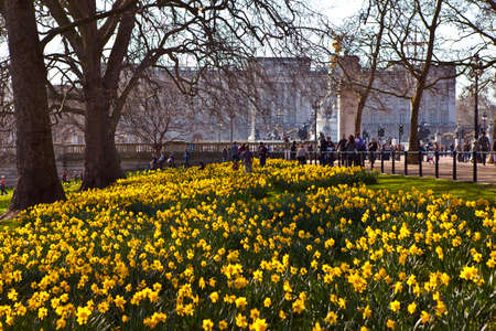The beautiful view of Buckingham Palace from St  Jamess Parkのeditorial素材