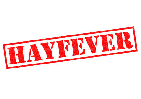 HAYFEVER red Rubber Stamp over a white background.の写真素材