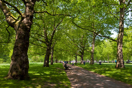 LONDON, UK - MAY 16TH 2014: The beautiful Green Park in London.のeditorial素材