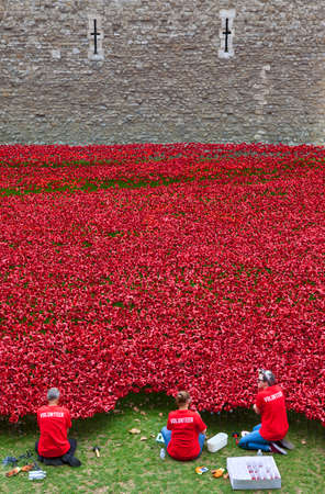 Volunteers Setting up the Ceramic Poppies at the Tower of Londonのeditorial素材