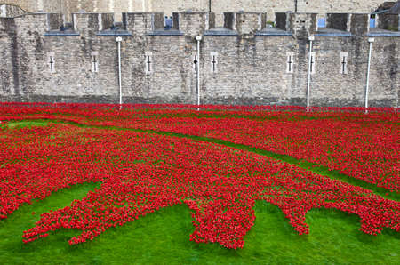 The ceramic Poppies at the Tower of Londonのeditorial素材