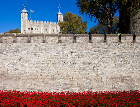 A view showing the ceramic Poppies of the 'Blood Swept Lands and Seas of Red' installation at the Tower of London.  The installation was created by artist Paul Cummins to mark the centenary of the outbreak of the First World War.のeditorial素材