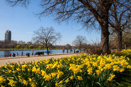 A beautiful view of Hyde Park in London at Spring time.の写真素材