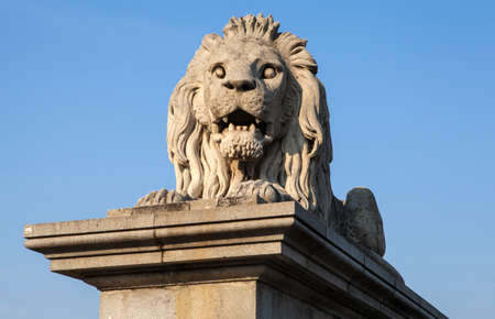 One of the Lion sculptures on the Chain Bridge in Budapest, Hungary.のeditorial素材