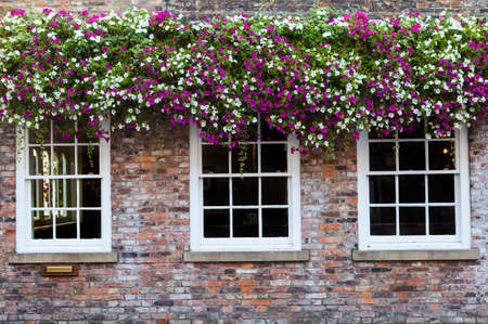 A view of beautiful hanging baskets over windows in an English Countryside Town.の写真素材