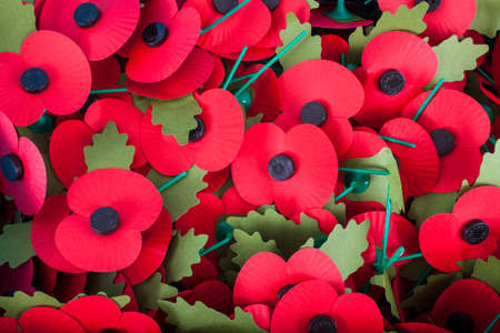 Artificial Poppies used to commemorate Remembrance Day.のeditorial素材