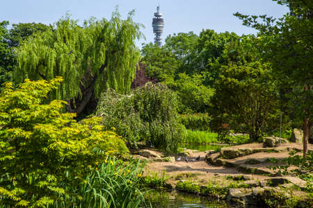 A view of the iconic BT Tower in the distance with the Japanese Island Garden in the foreground located in Queen Marys Gardens in Regents Park, London.のeditorial素材