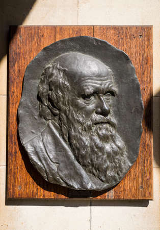A plaque sculptured into the bust of famous naturalist and biologist Charles Darwin on display at Christs College in Cambridge - where he studied.のeditorial素材