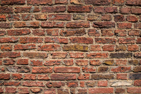 A close-up shot of a brick wall.