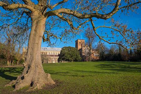 A view of the magnificent St. Albans Cathedral viewed from Verulamium Park in the historic city of St. Albans, England.の写真素材