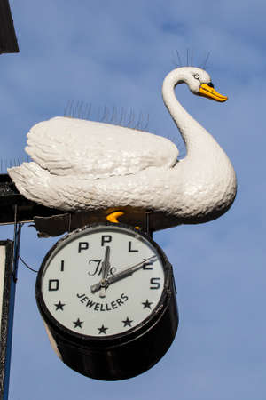 NORWICH, UK - JANUARY 2017: A beautiful Swan sculpture perched on a clock outside the Dipples Jewellery store in the historic city of Norwich, on 17th January 2017.のeditorial素材