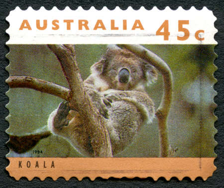 AUSTRALIA - CIRCA 1994: A used postage stamp from Australia, depicting an image of a Koala, circa 1994.のeditorial素材