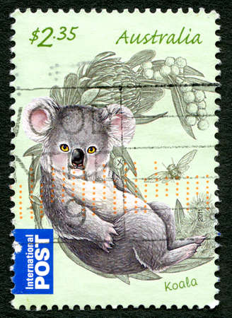 AUSTRALIA - CIRCA 2011: A used postage stamp from Australia, depicting an illustration of a Koala, circa 2011.のeditorial素材